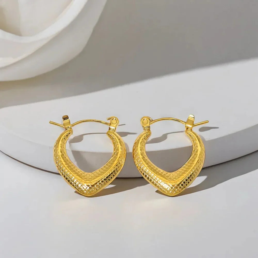 Anti Tarnish Earrings